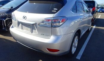 Lexus RX full